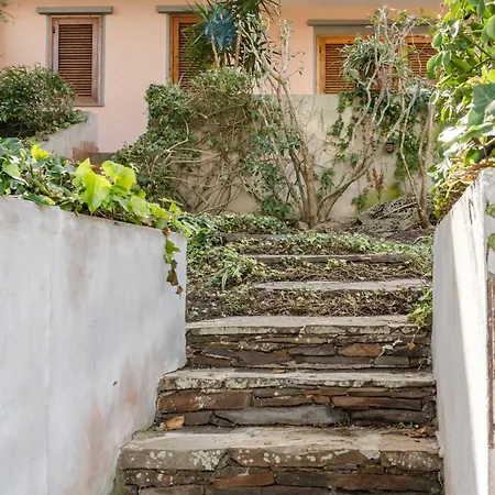 Guesthost - Bright Near La Pelosa Beach, Wifi & Parking! *